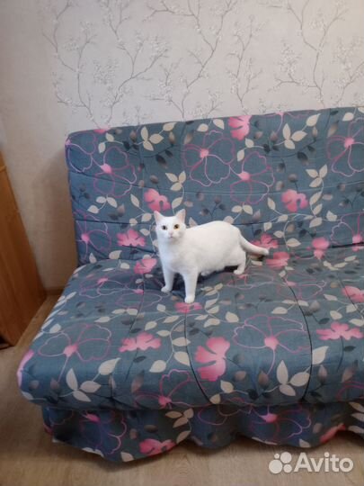 Диван раскладной бу