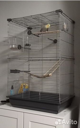 Большая клетка для попугая новая