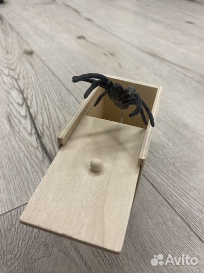 Розыгрыш паук,Пранк,антистресс-игрушка