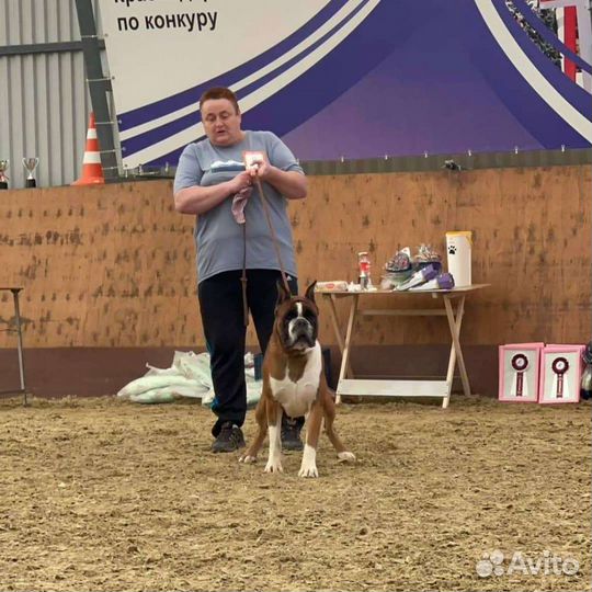 Предлагается для вязки