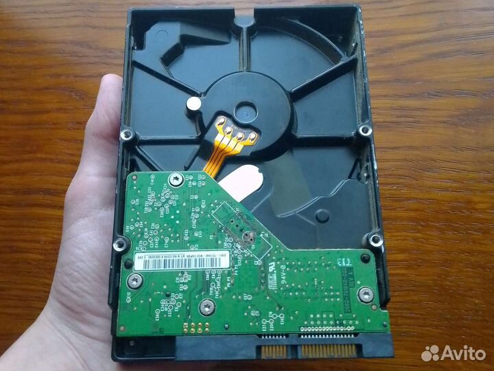 Жесткий диск WD 500 gb