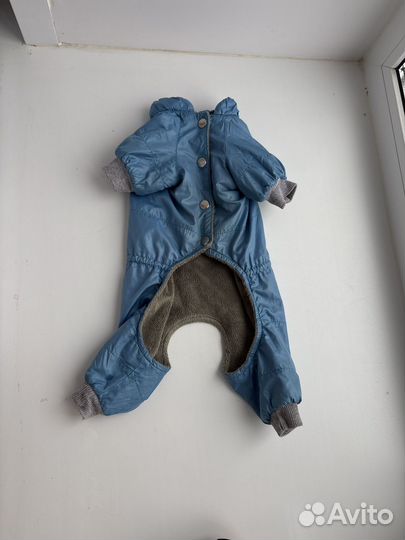 Комбинезон для маленькой собаки