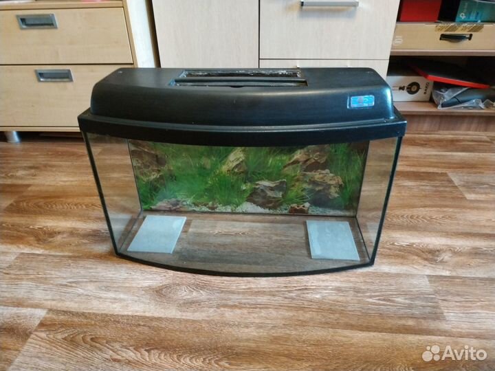 Аквариум (протекающий)
