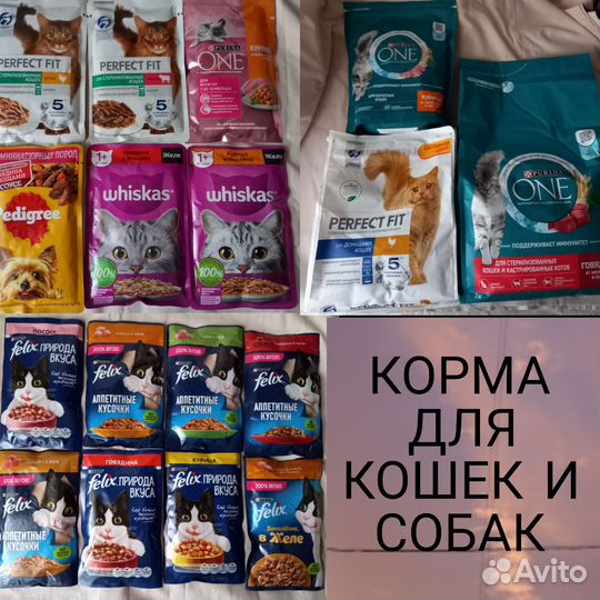 Кошачий корм феликс