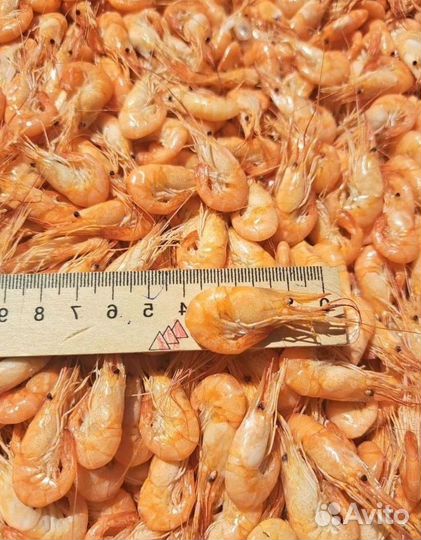 Креветки в Москве и мо