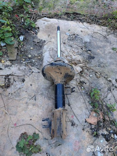 Амортизатор Кояба передний левый Шевроле авео