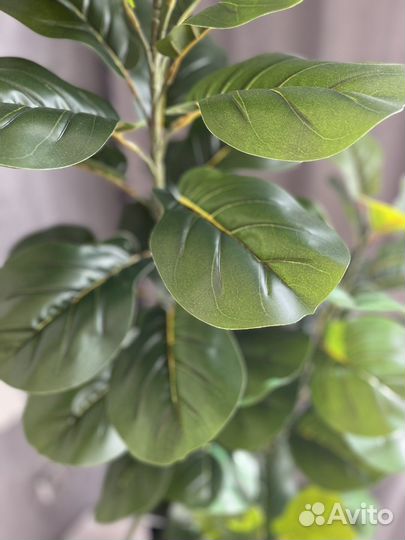 Искусственное декоративное дерево фикус Лирата