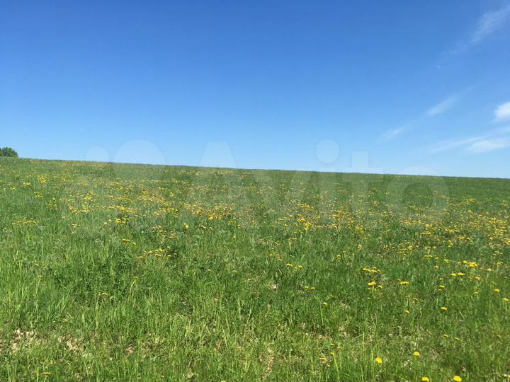 Участок 2 га (СНТ, ДНП)