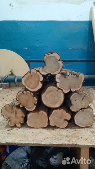 Можжевельник