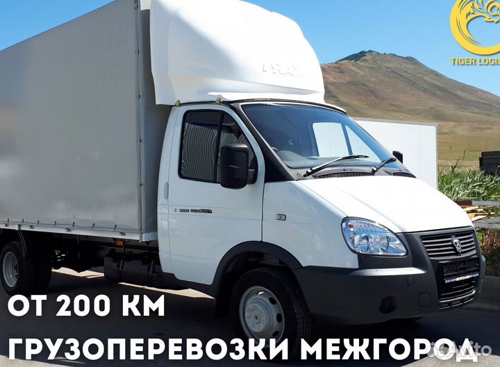 Грузоперевозки 10 тонн