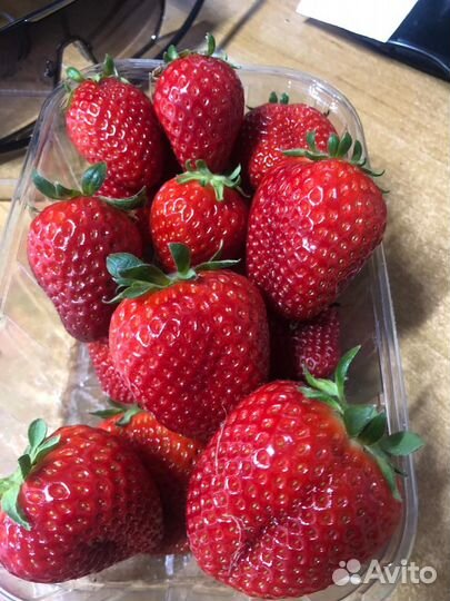 Клубника свежая местная