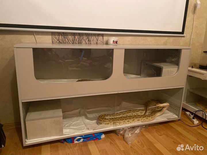 Террариумы для рептилий