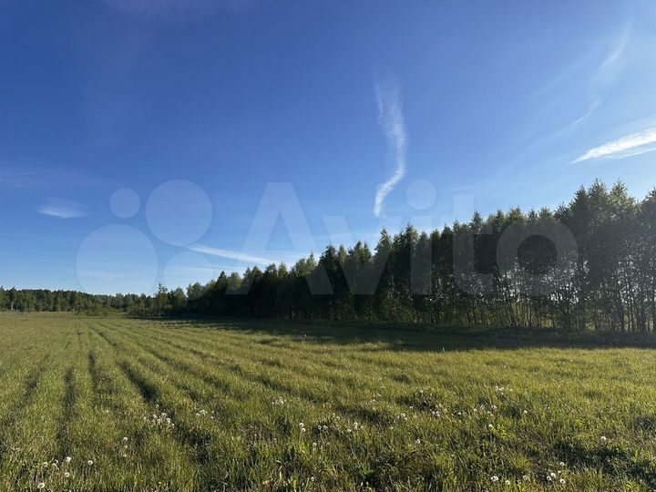 Участок 15 сот. (ИЖС)