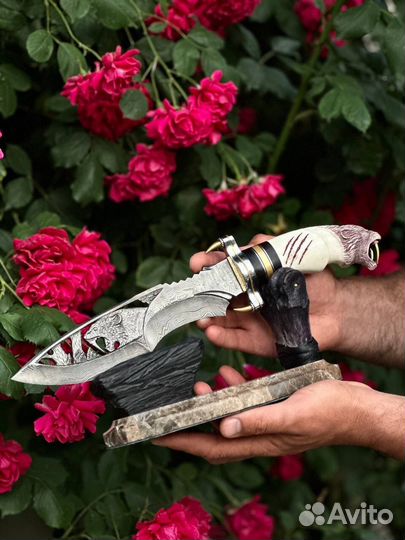 Нож саблезуб в единственном экземпляре