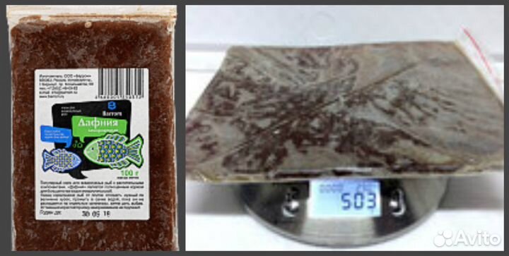 Корма с/м для морских и пресноводных рыб