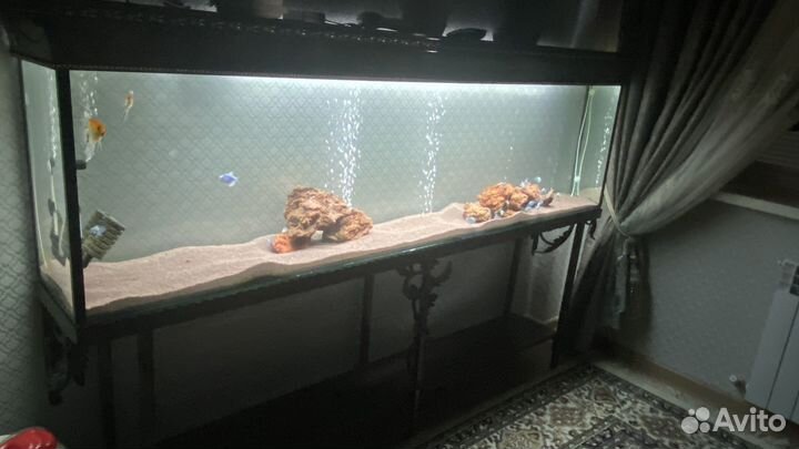 Аквариум 380л