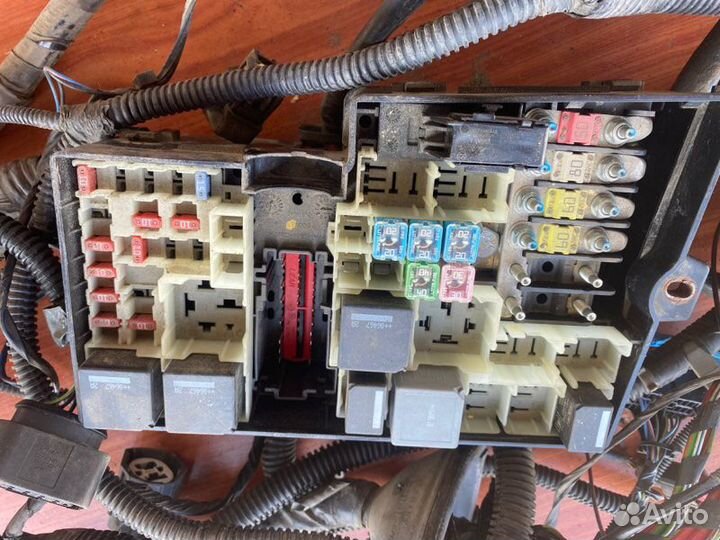 Проводка моторного отсека Ford Focus 2 седан qqdb