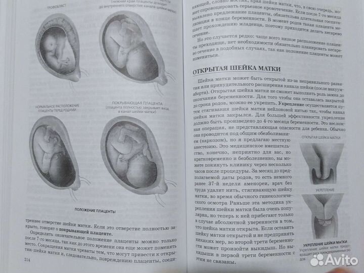 Ваш ребёнок растёт (Книга от зачатия до рождения и
