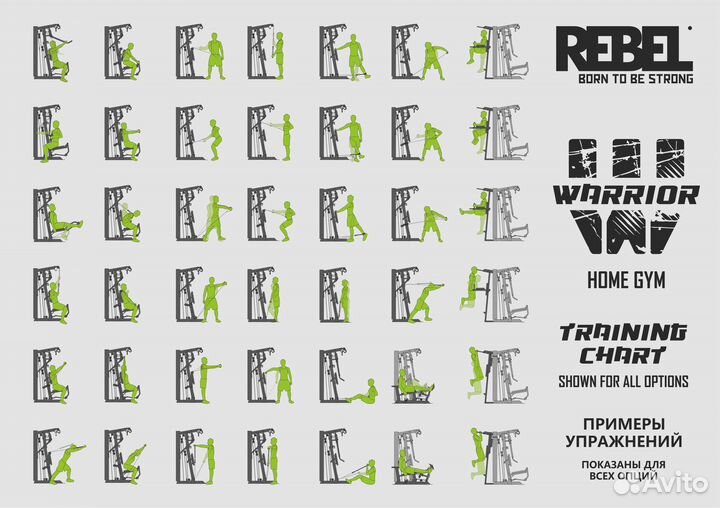 Многофункциональный тренажёр Rebel Warrior с турни