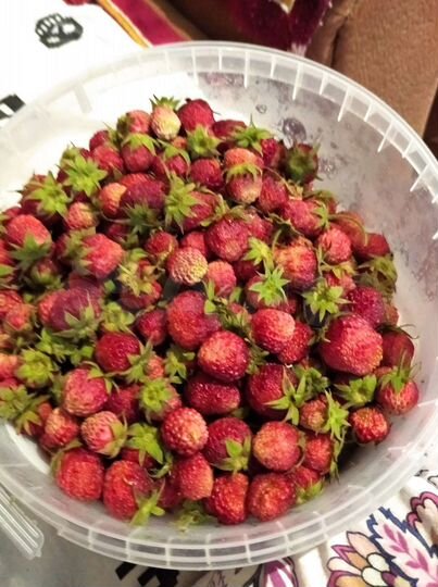 Дом 50 м² на участке 10 сот.