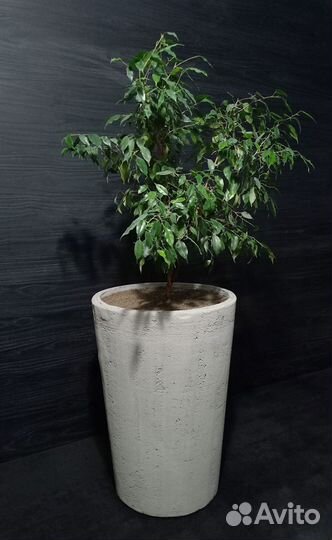 Горшки, Вазоны, Кашпо под заказ из бетона арт 166