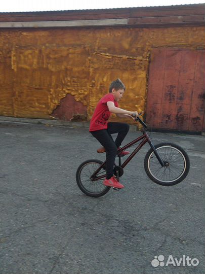 BMX Norco