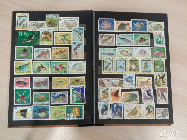 Марки СССР целый альбом