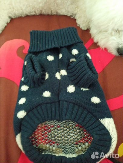 Свитер для собаки