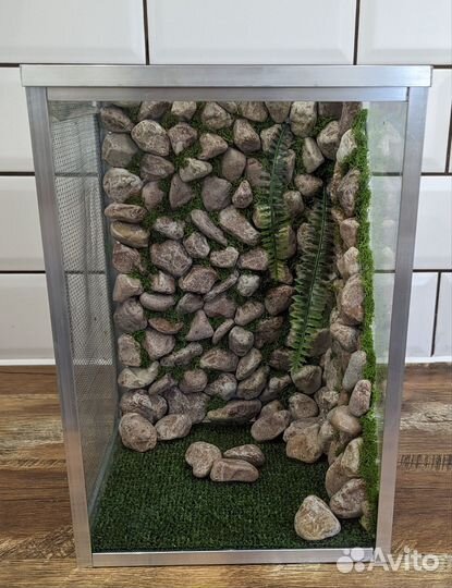 Террариум для бананоеда, паучатник