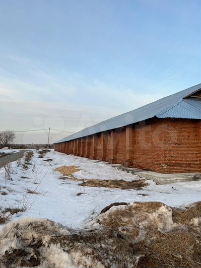 Производство, 1200 м²