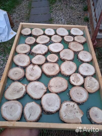 Спилы и слэбы дерева