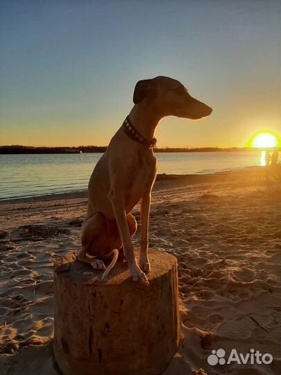 Фотосессия