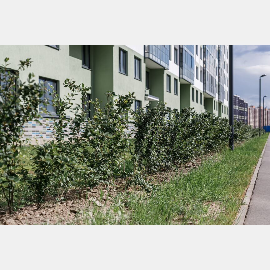 Квартира-студия, 23,6 м², 2/15 эт.