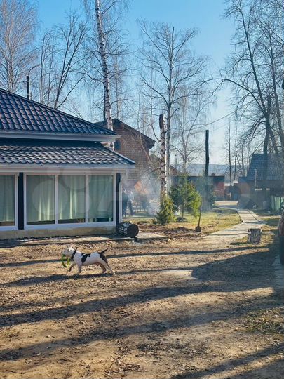 Дом 75 м² на участке 80 сот.
