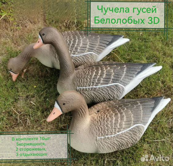 Чучела гусей Белолобых 3D 10шт