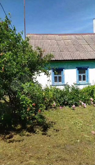 Дом 60 м² на участке 50 сот.