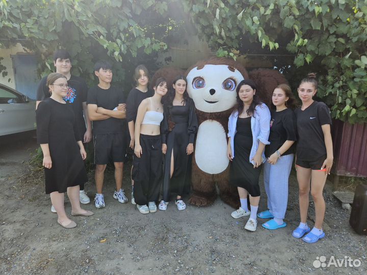 Белый Медведь Мишка Поздравление С Днем Рождения