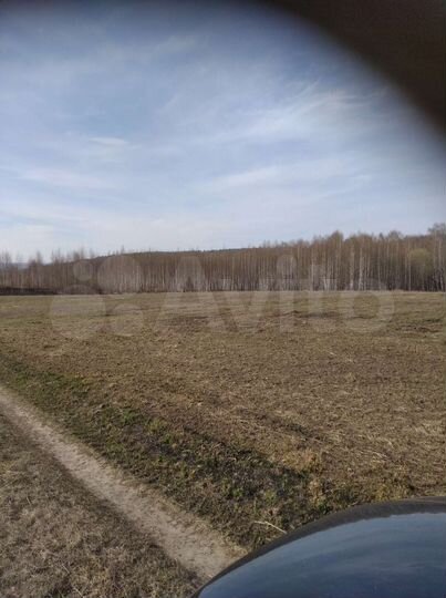 Участок 92 сот. (СНТ, ДНП)