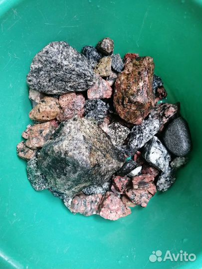 Драцена искусственная. Торг