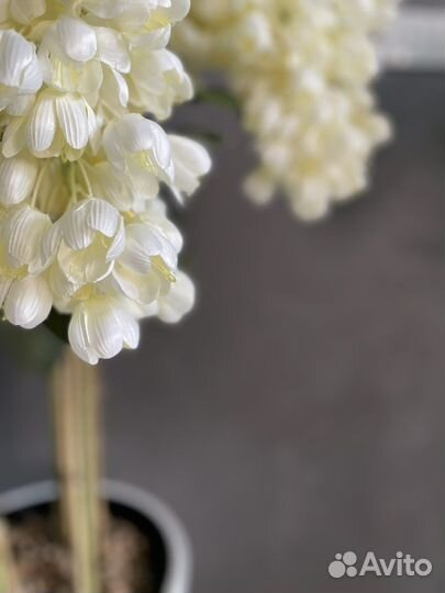 Искусственные растения