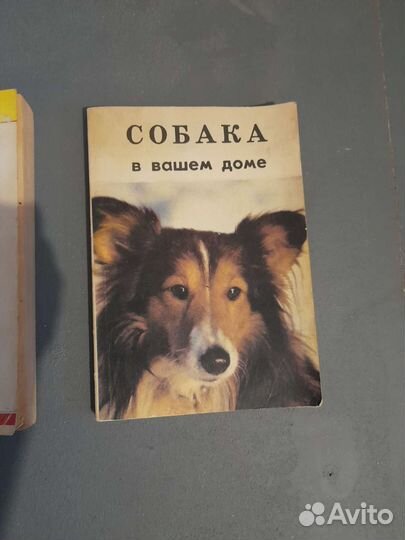 Книги о собаках