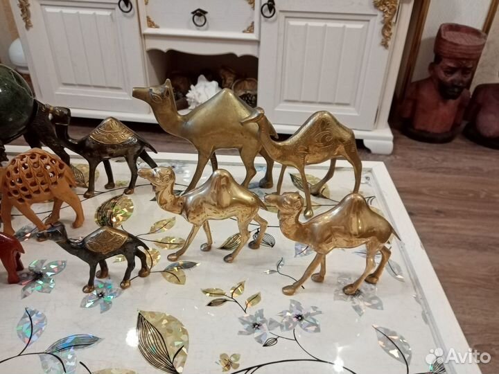 Коллекция верблюдов
