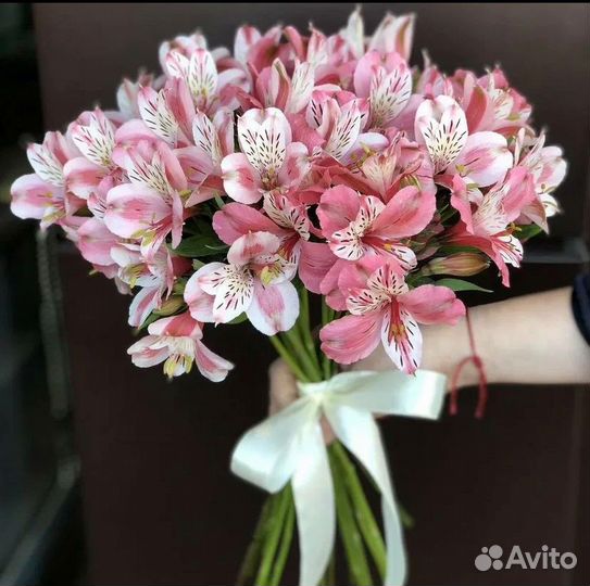 Альстромерия цветы