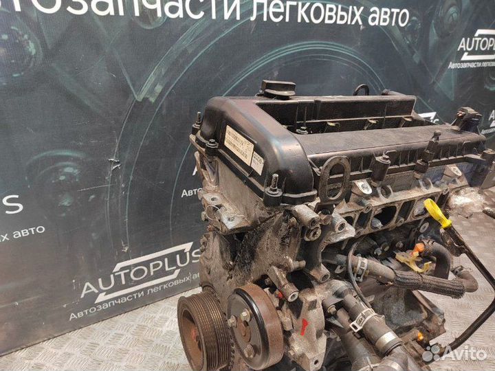 Двигатель Ford Focus 2 1.8 qqdb 2004-2011