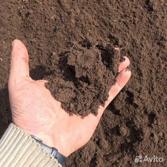Чернозём перегной навоз грунт удобрение