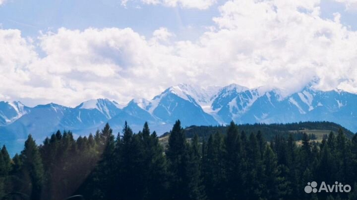 Тур поездка Алтай летний от 5 до 9 д