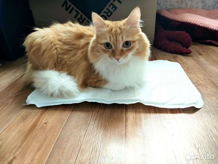 Коврик 3 шт. для животных охлаждающий