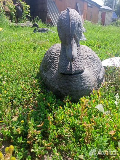 Чучела гусиные