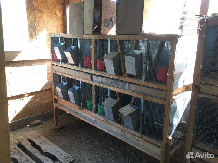 Клетки для кроликов