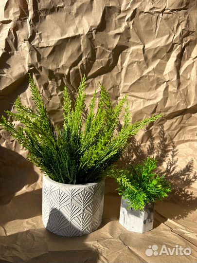 Декоративная зелень в гипсовом кашпо
